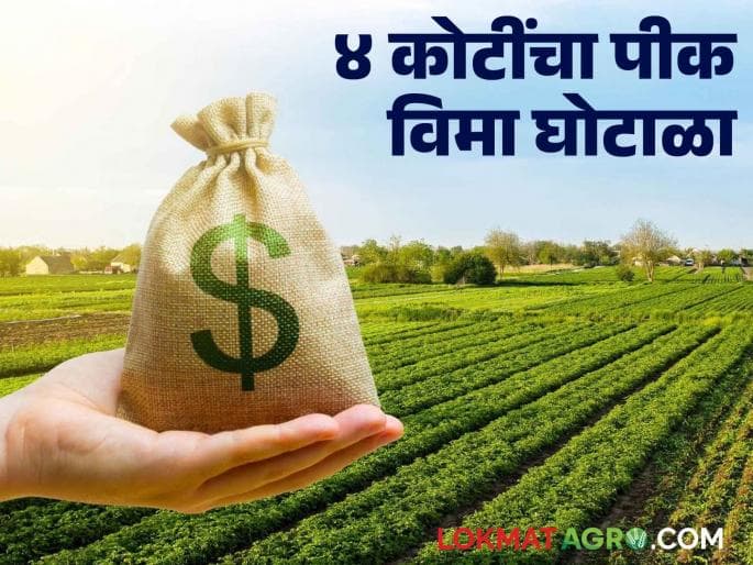 केळी पीक विमा योजनेत ₹474 कोटींचा गैरवापर केल्याप्रकरणी सी. एस. सी. केंद्र संचालकांवर गुन्हा दाखल