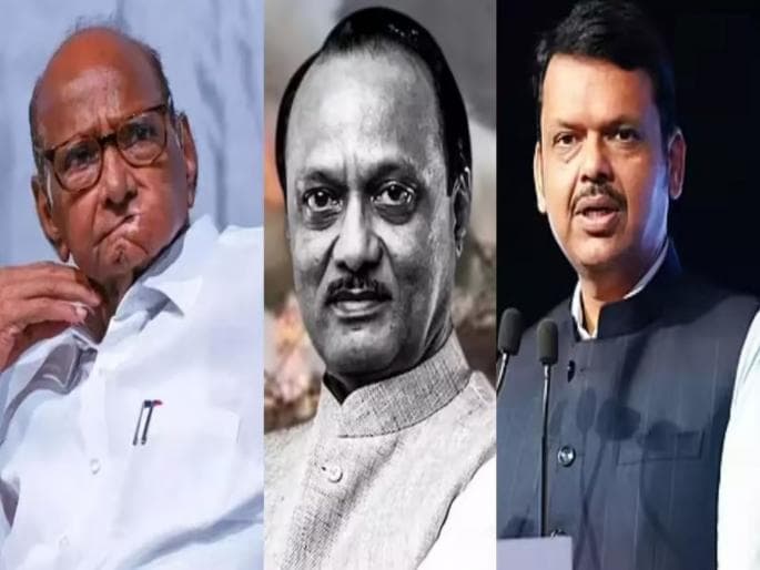 राष्ट्रवादी काँग्रेसच्या विलीनीकरणावर भाष्य करण्यास फडणवीसांचा नकार