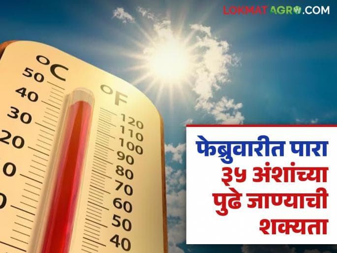 बुलढाणा जिल्ह्यात फेब्रुवारीमध्ये हवामानात लक्षणीय बदल होईलः आय. एम. डी. चा अंदाज