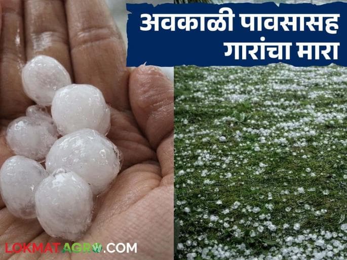 जळगाव जिल्ह्यात अवकाळी पावसाचा तडाखा, पिकांचे नुकसान आणि वीजपुरवठ्यात व्यत्यय