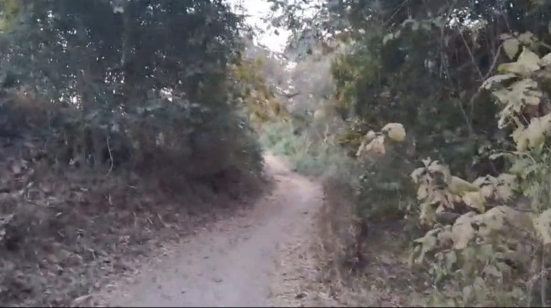 આદિવાસી વિસ્તારને જોડતા રાષ્ટ્રીય ધોરીમાર્ગની મરામત ન થવાને કારણે અવરજવરમાં સમસ્યા ઊભી થાય છે