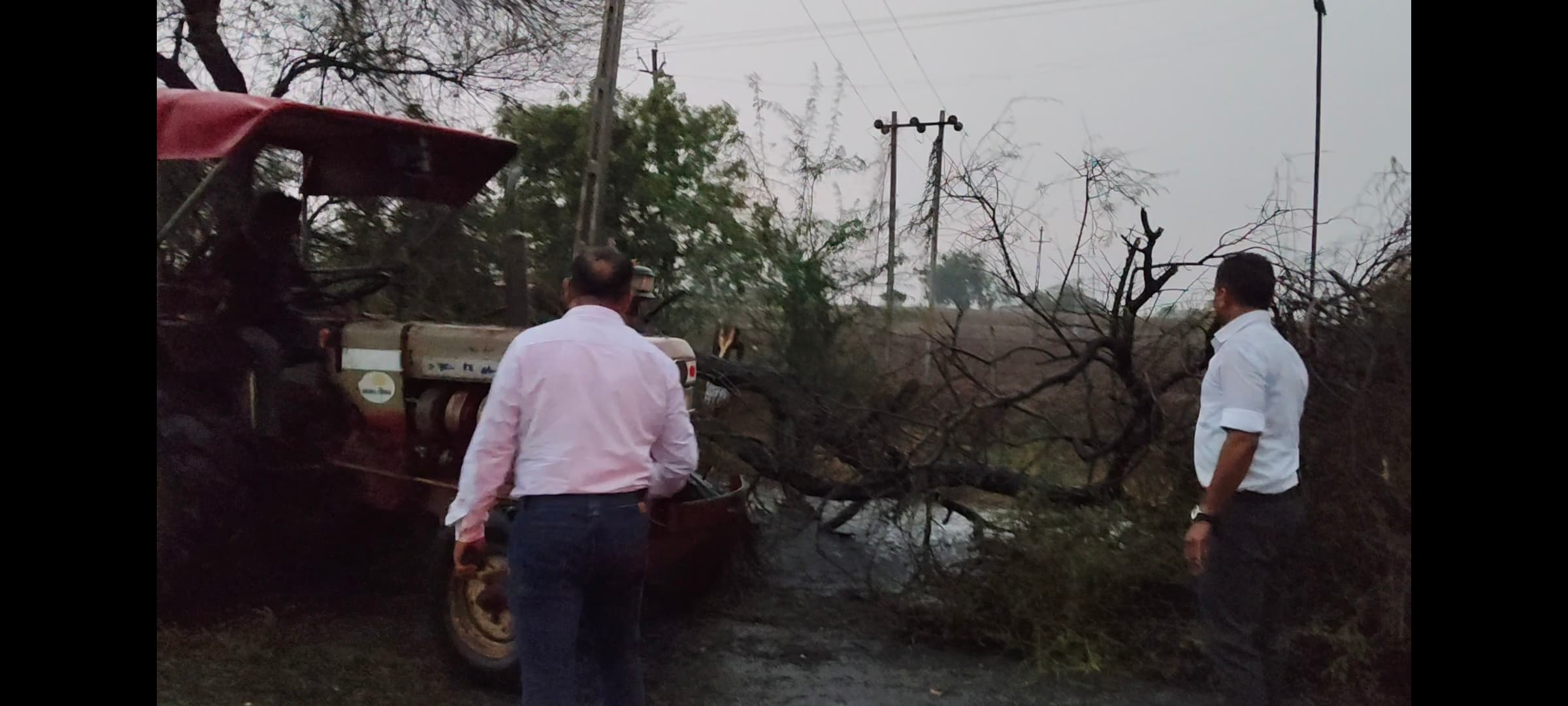 અચાનક હવામાનમાં ફેરફારને કારણે રાજ્ય ધોરીમાર્ગ પર વૃક્ષો પડી ગયા