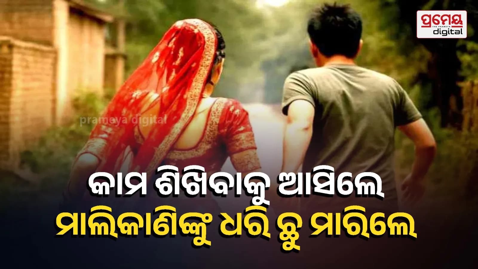 ଲକ୍ଷ୍ନୌରେ ରାଜମିସ୍ତ୍ରୀ କୌଶଳ ପାଇଁ ଯୁବକଙ୍କର ଅନୁସନ୍ଧାନ