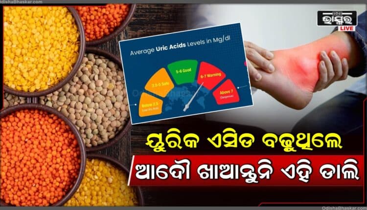 ସମସ୍ତ ଡାଲି ସମାନ ଭାବରେ ସୃଷ୍ଟି ହୁଏ ନାହିଁ ଉଚ୍ଚ ୟୁରିକ୍ ଏସିଡ୍ ସ୍ତର ପାଇଁ ସଠିକ୍ ଚୟନ କରିବା