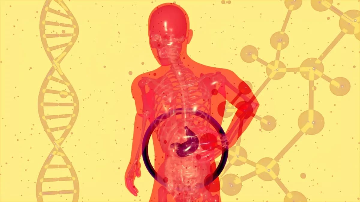 Controlling Fatty Liver: Lifestyle Changes for a Healthier Liver