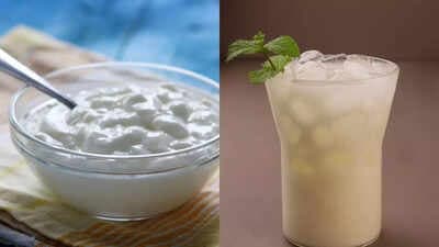 Curd vs Buttermilk: Uncovering the Unique Health Benefits of Each