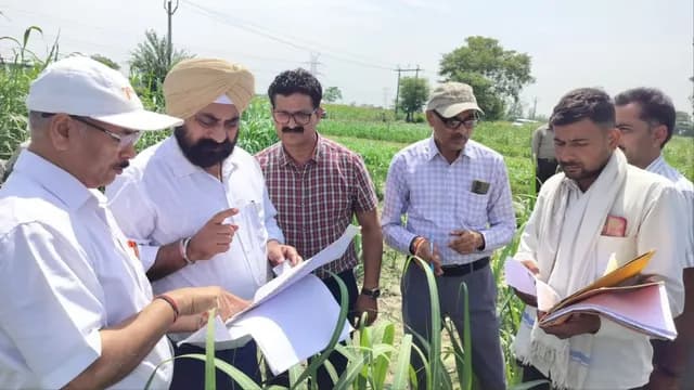 Deputy Cane Commissioner Conducts Surprise Inspection of Sugarcane Survey Work in Moradabad