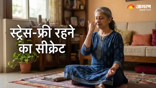 Unlocking the Power of the Vagus Nerve: A Stress-Relieving 'Off-Switch'