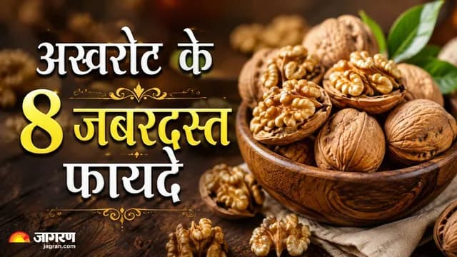 Walnuts: The Treasure of Health for a Healthy Heart