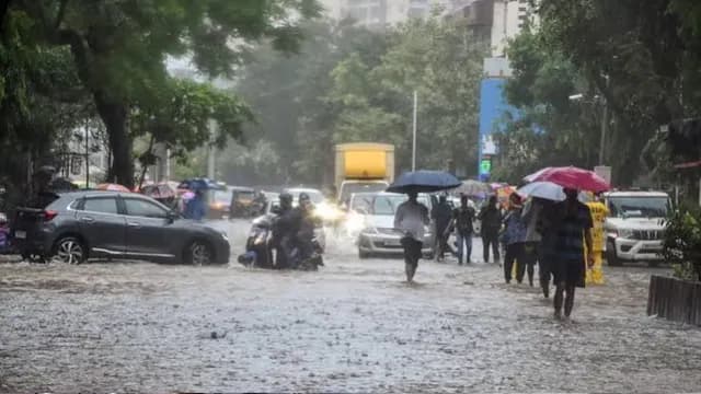 UP Braces for Active Monsoon This Week: Widespread Rainfall Expected