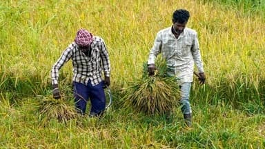 Vijay's Populist Promise: A New Challenge for Tamil Nadu Politics