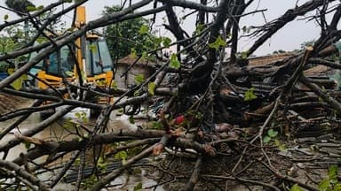 Bihar Weather Disaster: 19 Lives Lost, Widespread Damage Reported